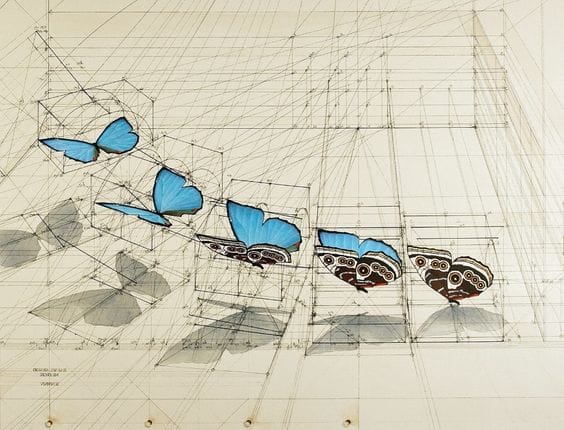 535537363c655be8860d28b903483fba